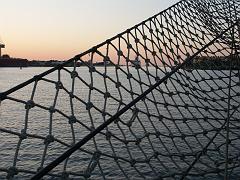 080508_Roald_Amundsen 222